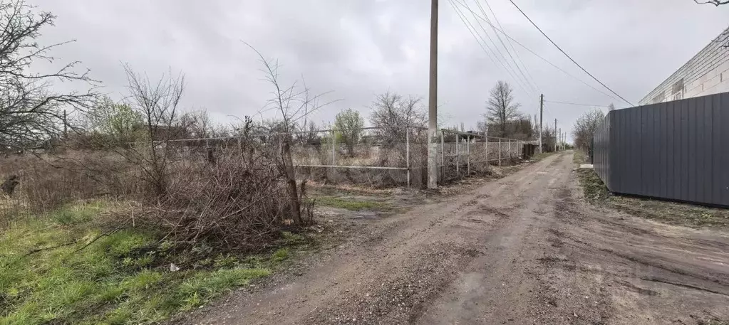 Участок в Воронежская область, Воронеж Вега-88 СНТ, ул. 13-я (12.09 ... - Фото 2