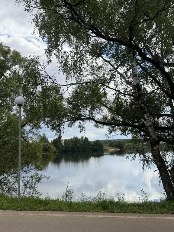 Участок в Московская область, Домодедово городской округ, д. Минаево, ... - Фото 1
