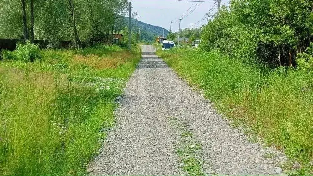 Участок в Алтай, Майминский район, с. Соузга ул. Родниковая, 27 (10.0 ... - Фото 1