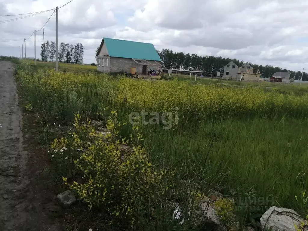 Участок в Ульяновская область, Ульяновск городской округ, с. Луговое ... - Фото 0