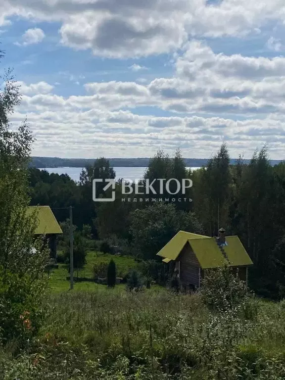 Участок в Ивановская область, Заволжский район, Волжское с/пос, д. ... - Фото 2