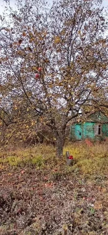 Дом в Саратовская область, Саратов Золотая Долина СНТ,  (10 м) - Фото 2