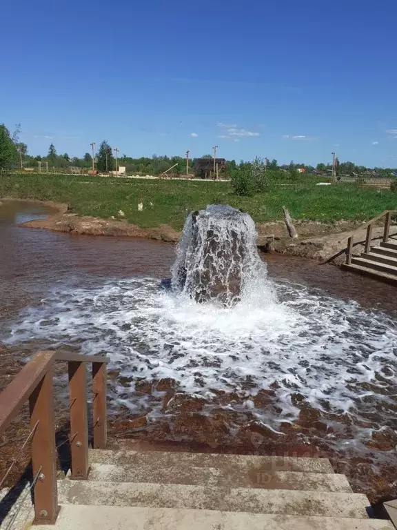 Участок в Новгородская область, Старая Русса ул. Тахтарова (10.0 сот.) - Фото 0