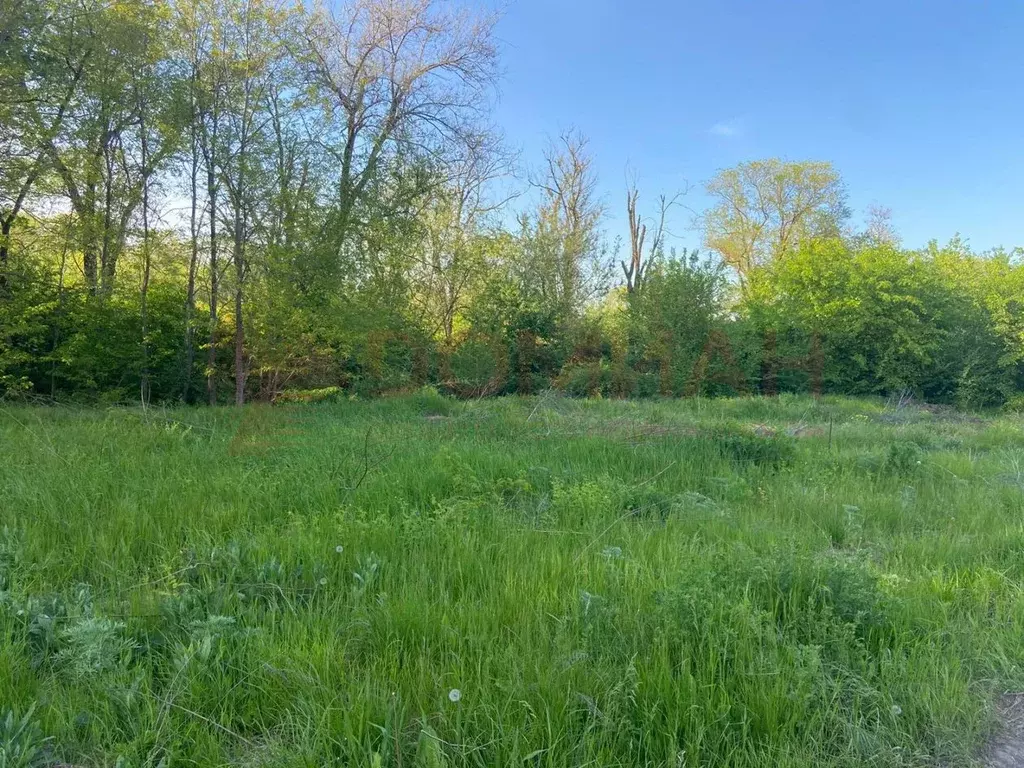 Участок в Ростовская область, Аксай Яблочко садоводческое ... - Фото 1