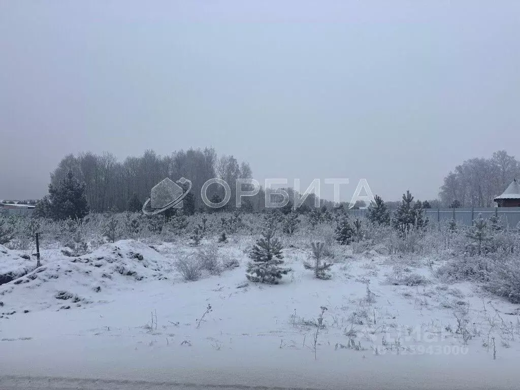 Участок в Тюменская область, Тюменский муниципальный округ, ... - Фото 1
