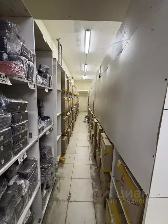 Помещение свободного назначения в Московская область, Дзержинский ... - Фото 1