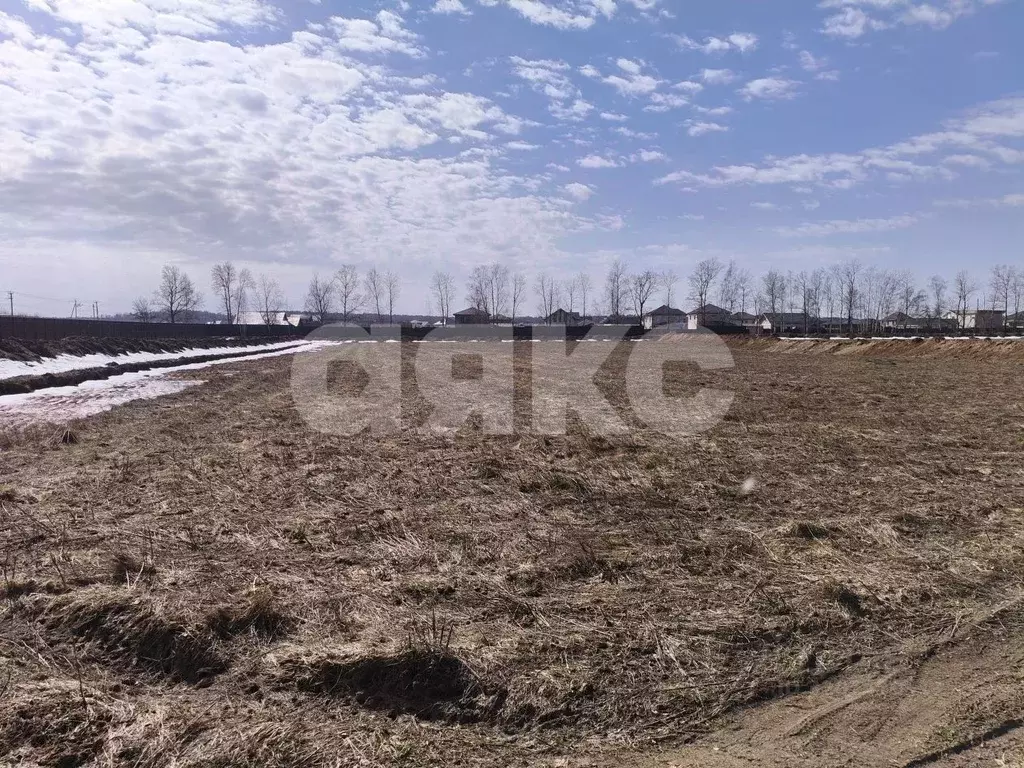 Участок в Московская область, Раменский муниципальный округ, Березовый ... - Фото 2