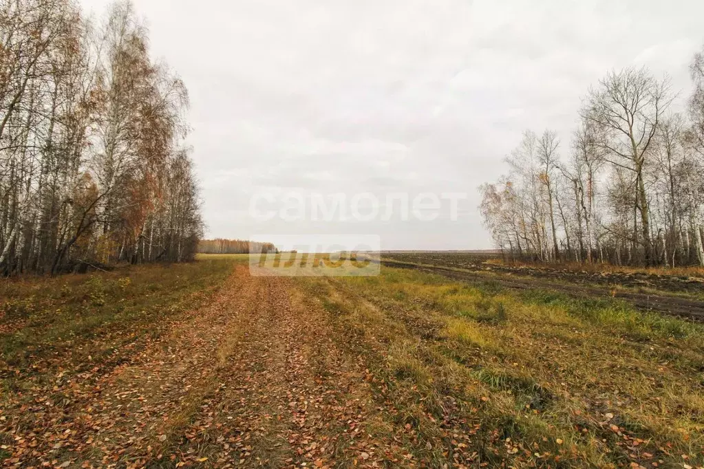 Участок в Тюменская область, Тюменский район, с. Горьковка  (9.8 сот.) - Фото 0