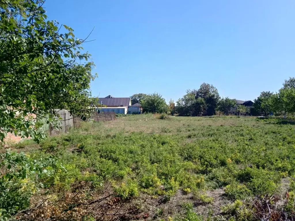 Участок в Краснодарский край, Щербиновский район, Старощербиновская ... - Фото 1