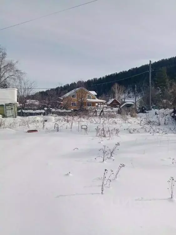 Участок в Иркутская область, Шелеховский район, Олхинское ... - Фото 1