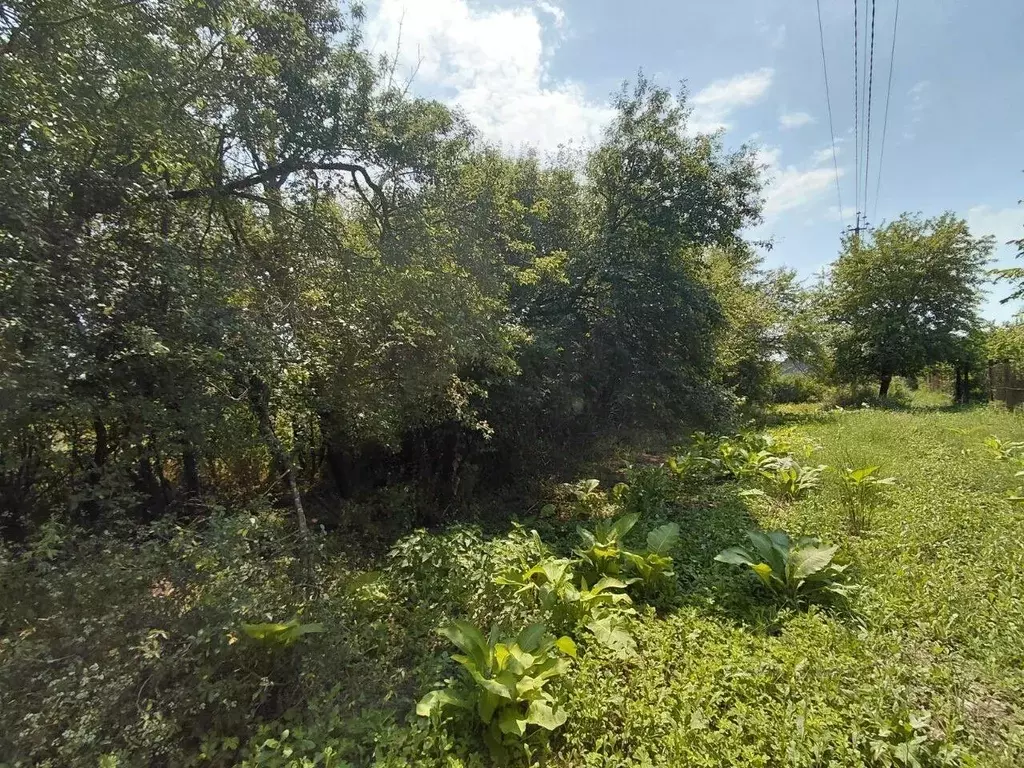 Участок в Краснодарский край, Северский район, Григорьевское с/пос, ... - Фото 1