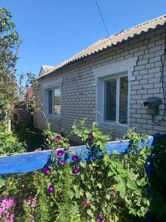 Дом в Белгородская область, Борисовский район, Белянское с/пос, с. ... - Фото 2