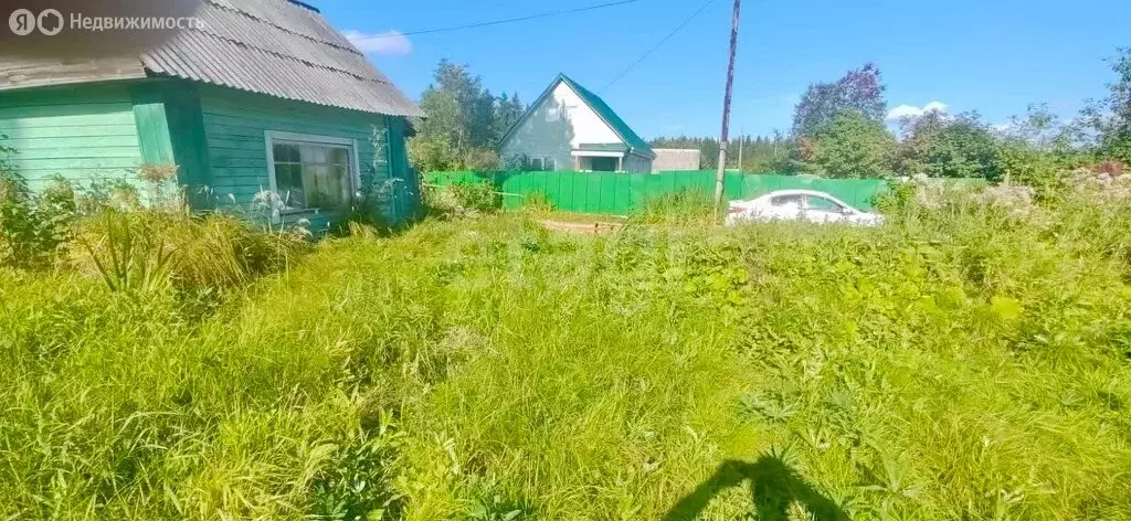 Участок в Сыктывкар, территория Дырносский, СНТ 1-е Сыктывкарское (4.8 ... - Фото 1