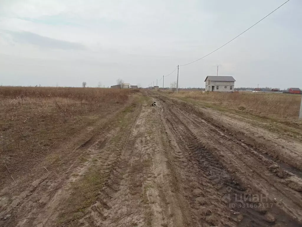 Участок в Рязанская область, Рыбновский муниципальный округ, с. ... - Фото 1