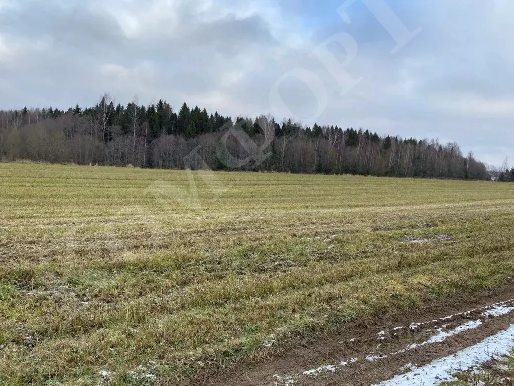 Участок в Вологодская область, д. Заречная  (14.5 сот.) - Фото 0