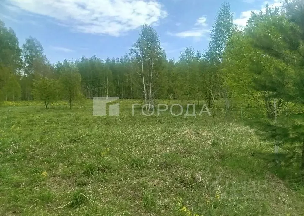 Участок в Новосибирская область, Новосибирский район, Новолуговской ... - Фото 1