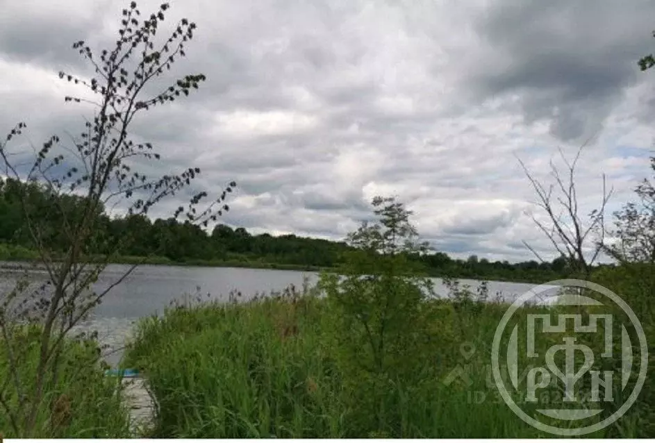 Участок в Ленинградская область, Лужский район, Володарское с/пос, д. ... - Фото 1