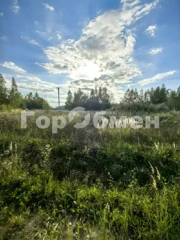 Продается участок в х. Шубино - Фото 1