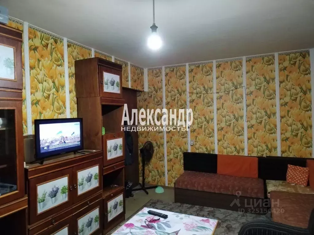 Комната Санкт-Петербург ул. Белышева, 4К (17.4 м) - Фото 2