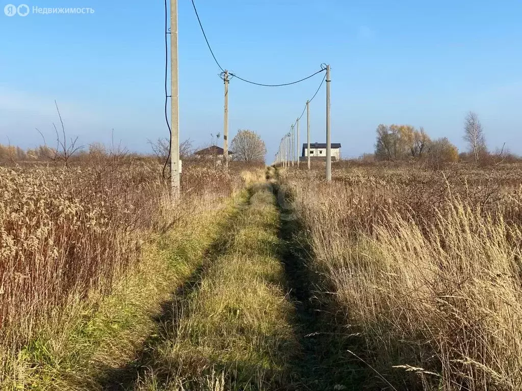 Участок в Калининградская область, Гурьевский муниципальный округ, ... - Фото 2