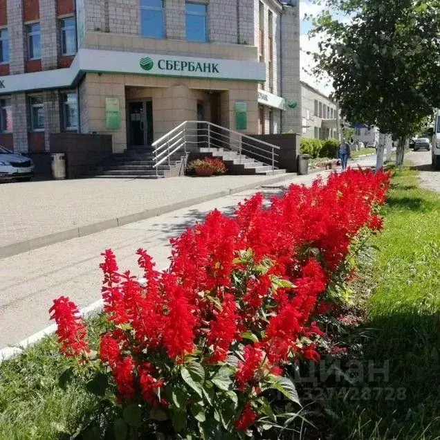 Офис в Удмуртия, Камбарка ул. Ленина, 60 (100 м) - Фото 1