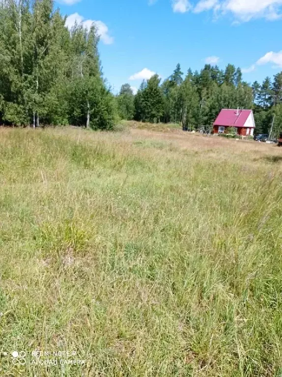 Участок в Псковская область, Пустошкинский район, Пригородная волость, ... - Фото 0