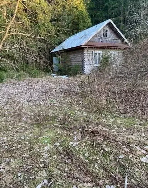 Участок в Новгородская область, Маловишерский муниципальный район, ... - Фото 2