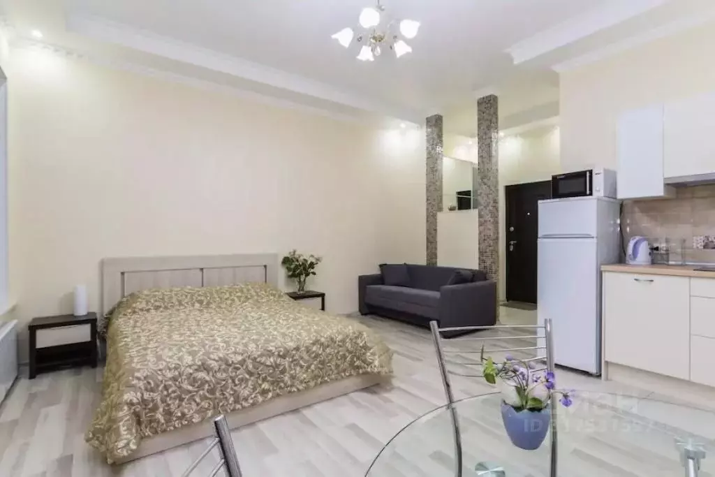 1-к кв. Санкт-Петербург Конюшенный пер., 1/6 (28.0 м) - Фото 0