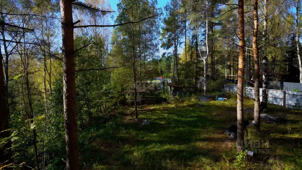 Участок в Санкт-Петербург пос. Парголово, Песочное ш. (17.0 сот.) - Фото 1