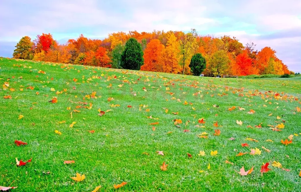 Участок в Ростовская область, Аксайский район, Щепкинское с/пос, пос. ... - Фото 1
