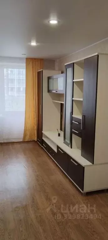 Студия Кировская область, Киров Тиминский пер., 7 (23.8 м) - Фото 1