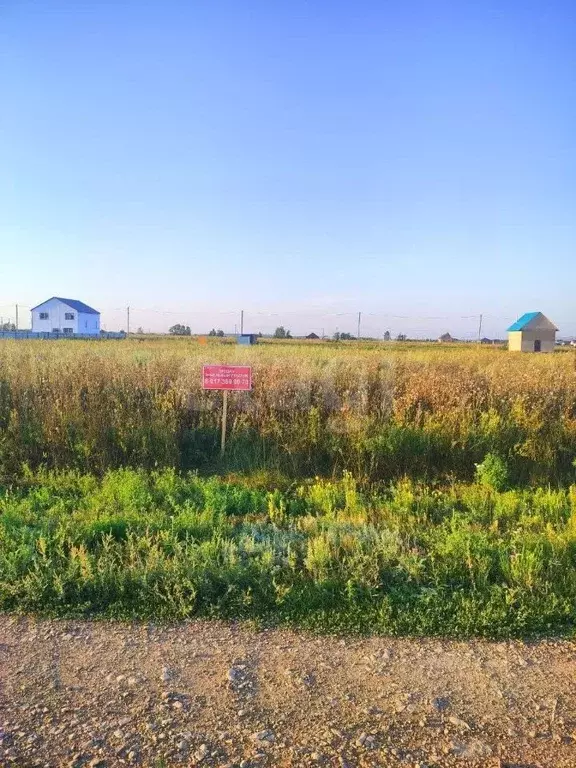 Участок в Башкортостан, Альшеевский район, с. Раевский ул. Ольховая ... - Фото 1