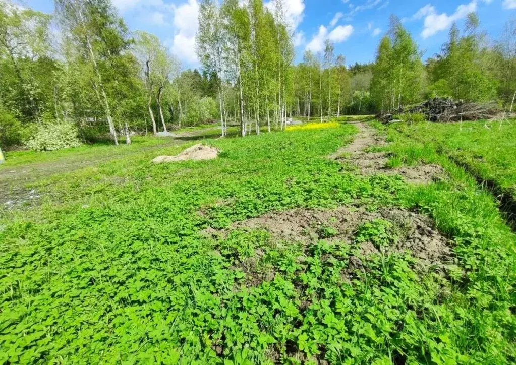 Участок в Карелия, Лахденпохский муниципальный округ, Соролансаари ... - Фото 2