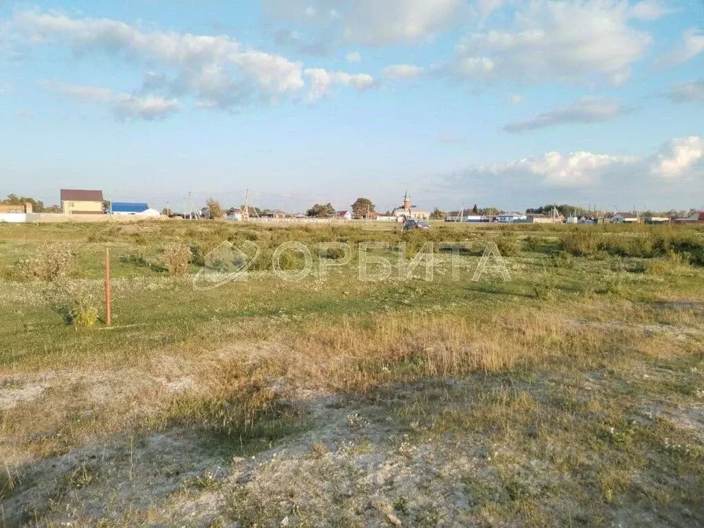 Участок в Тюменская область, Ярковский муниципальный округ, д. Мотуши  ... - Фото 2