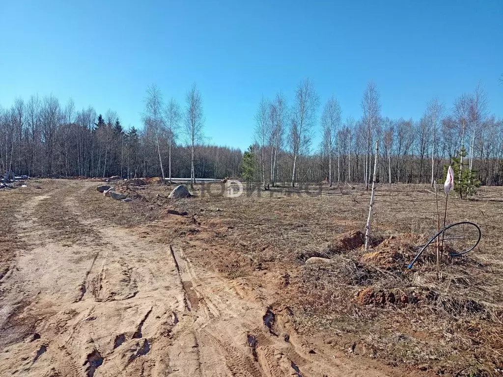Участок в Тверская область, Калининский муниципальный округ, д. ... - Фото 2