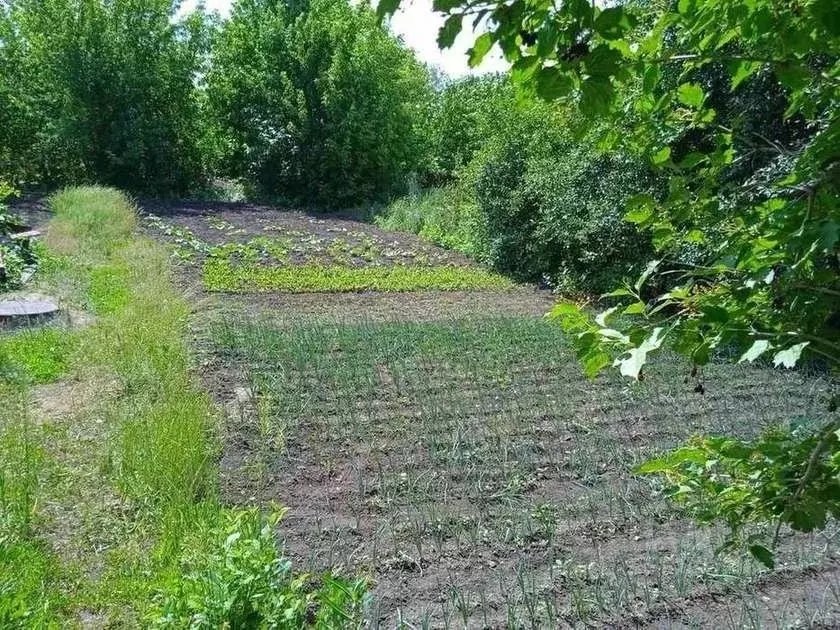 Дом в Самарская область, Самара Уметская ул., 20 (100 м) - Фото 1