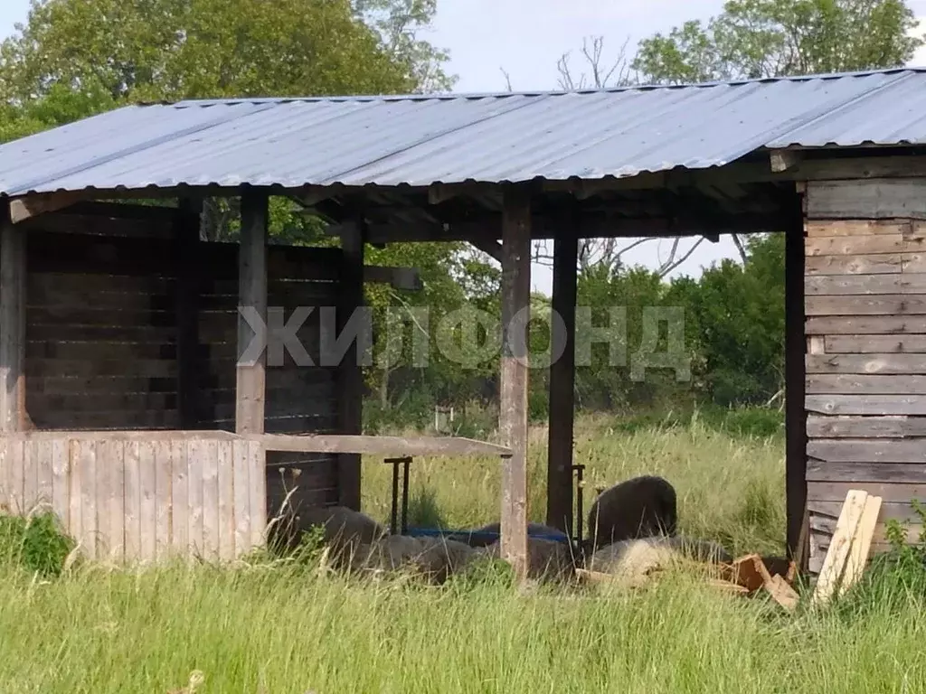 Участок в Калининградская область, Багратионовский муниципальный ... - Фото 1