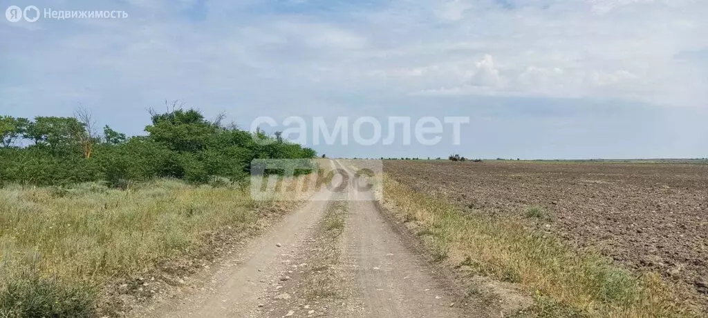 Участок в Ленинский район, Семисотское сельское поселение, село ... - Фото 1