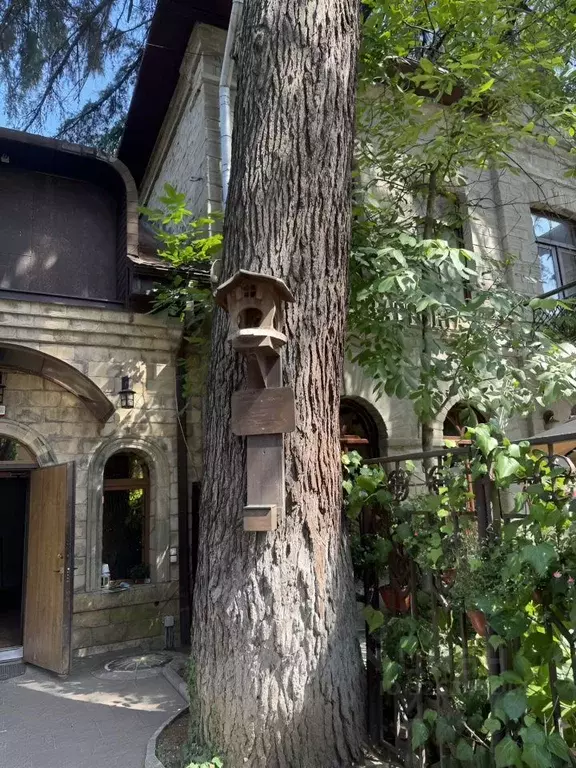 Помещение свободного назначения в Краснодарский край, Сочи Центральный ... - Фото 2