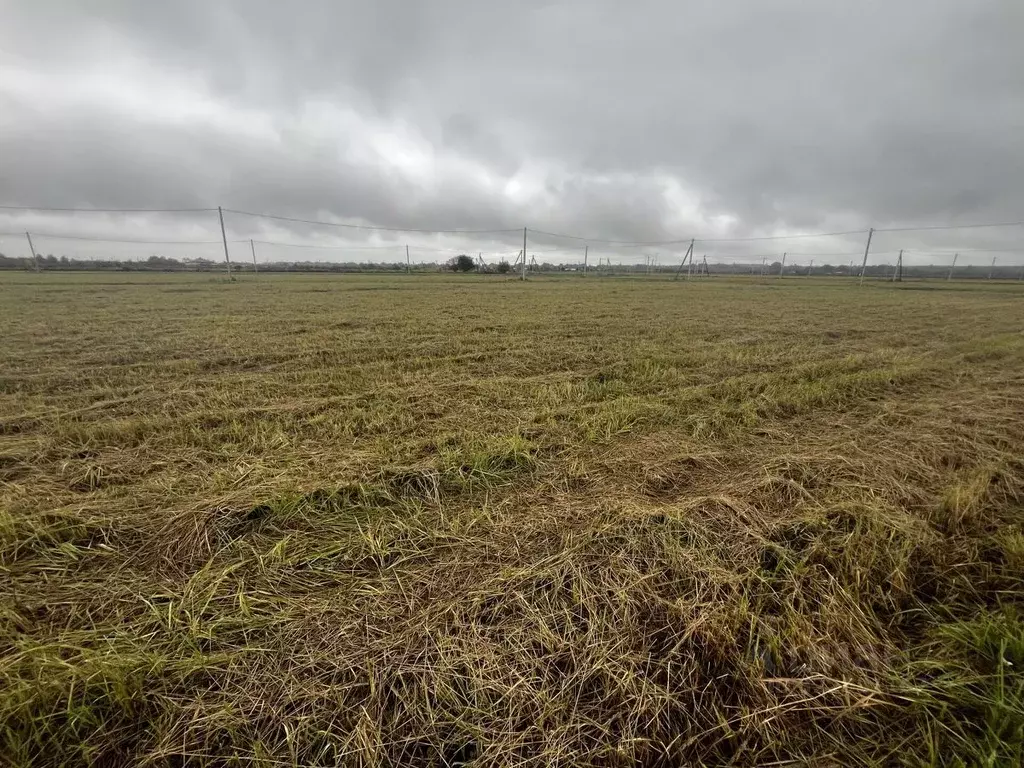 Участок в Краснодарский край, Северский район, Новодмитриевское с/пос, ... - Фото 2