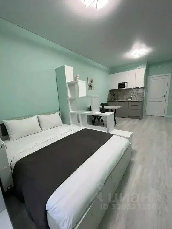 1-к кв. Санкт-Петербург 1-й Предпортовый проезд, 1 (27.0 м) - Фото 1