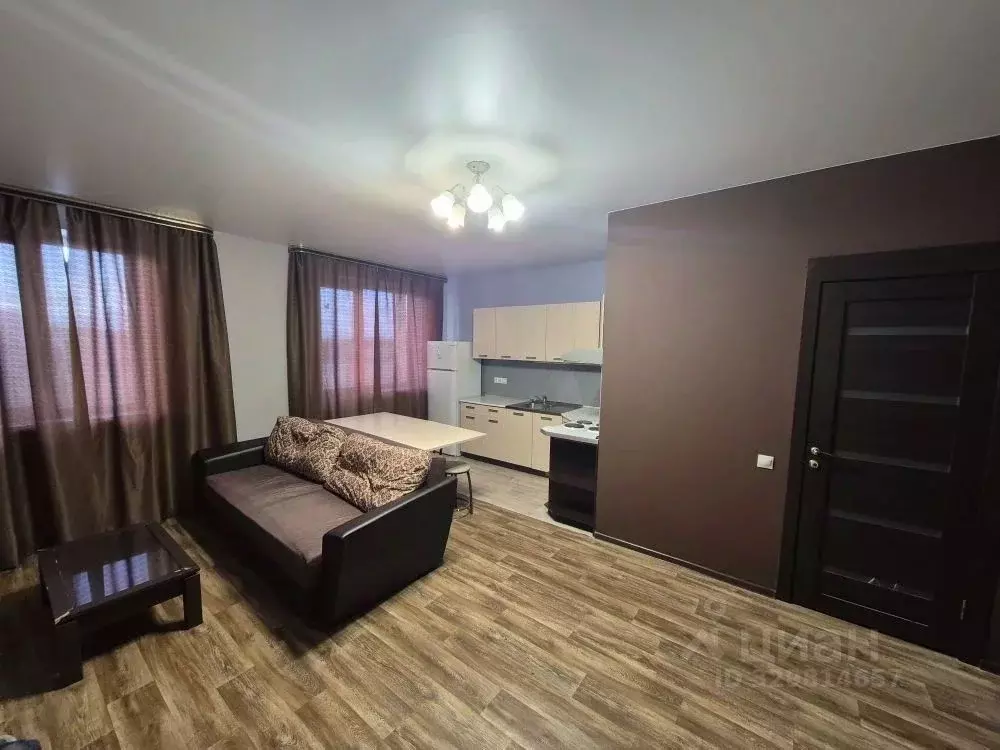 Студия Владимирская область, Владимир ул. Кулибина, 10 (32.0 м) - Фото 2
