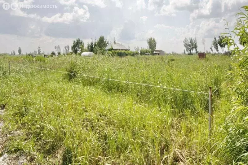 Участок в село Зиново, улица Победы (10 м) - Фото 1