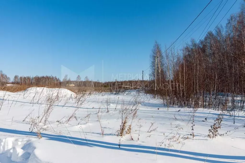 Участок в Тюменская область, Нижнетавдинский муниципальный округ, ... - Фото 2