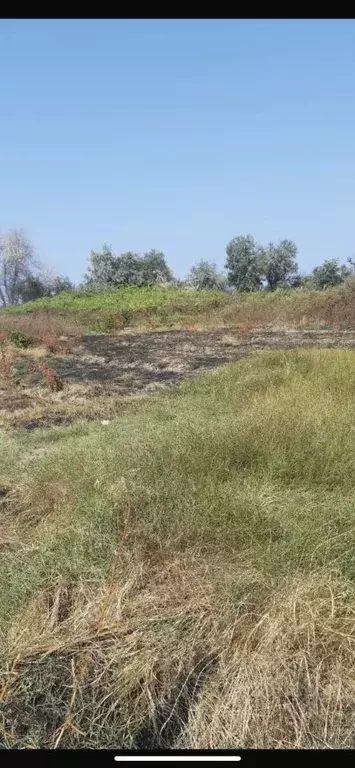 Участок в Дагестан, Курахский район, Моллакентский сельсовет, с. ... - Фото 0