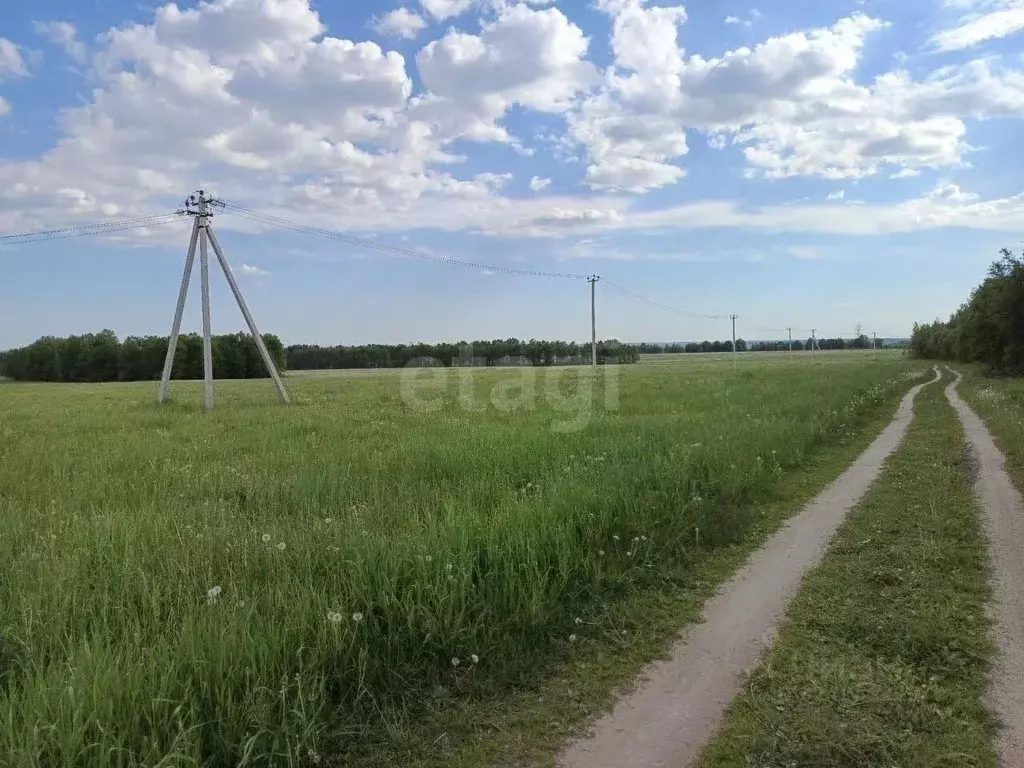 Участок в Тульская область, Ефремовский муниципальный округ, д. ... - Фото 1