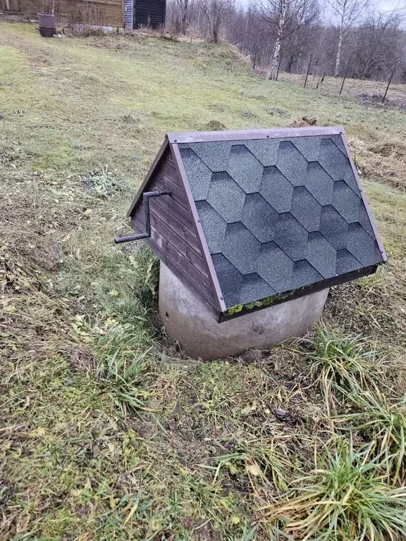 Участок в Новгородская область, Валдайский район, Костковское с/пос  ... - Фото 2