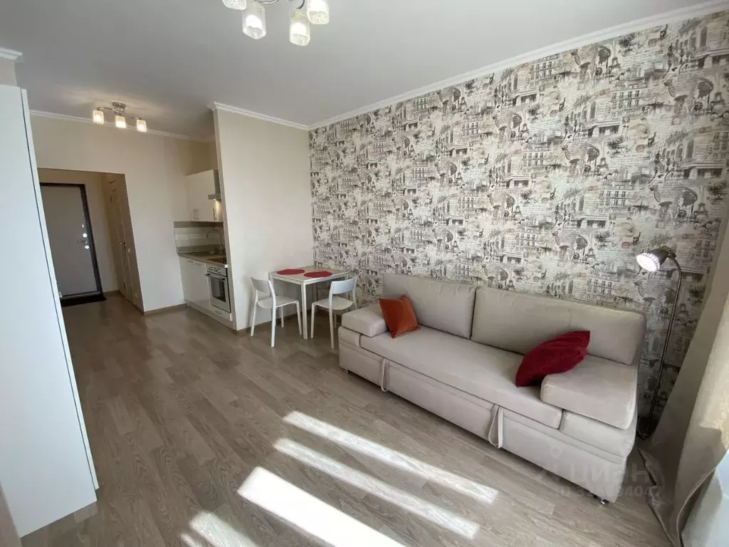 Студия Санкт-Петербург просп. Просвещения, 43 (27.0 м) - Фото 2