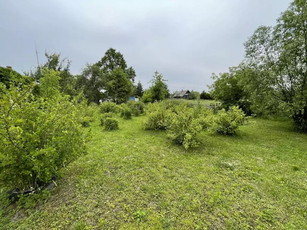 Участок, 15 сот., поселения (ижс) - Фото 1