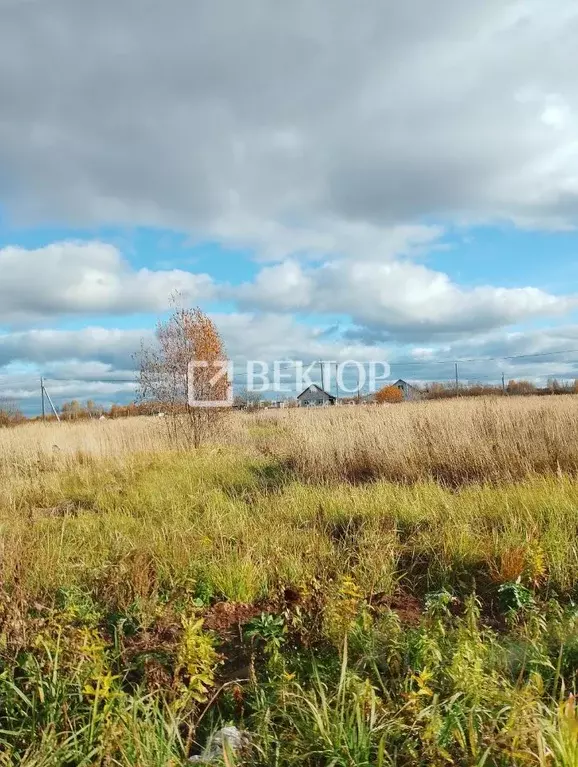 Участок в Костромская область, Кострома проезд Кружевной (9.6 сот.) - Фото 1